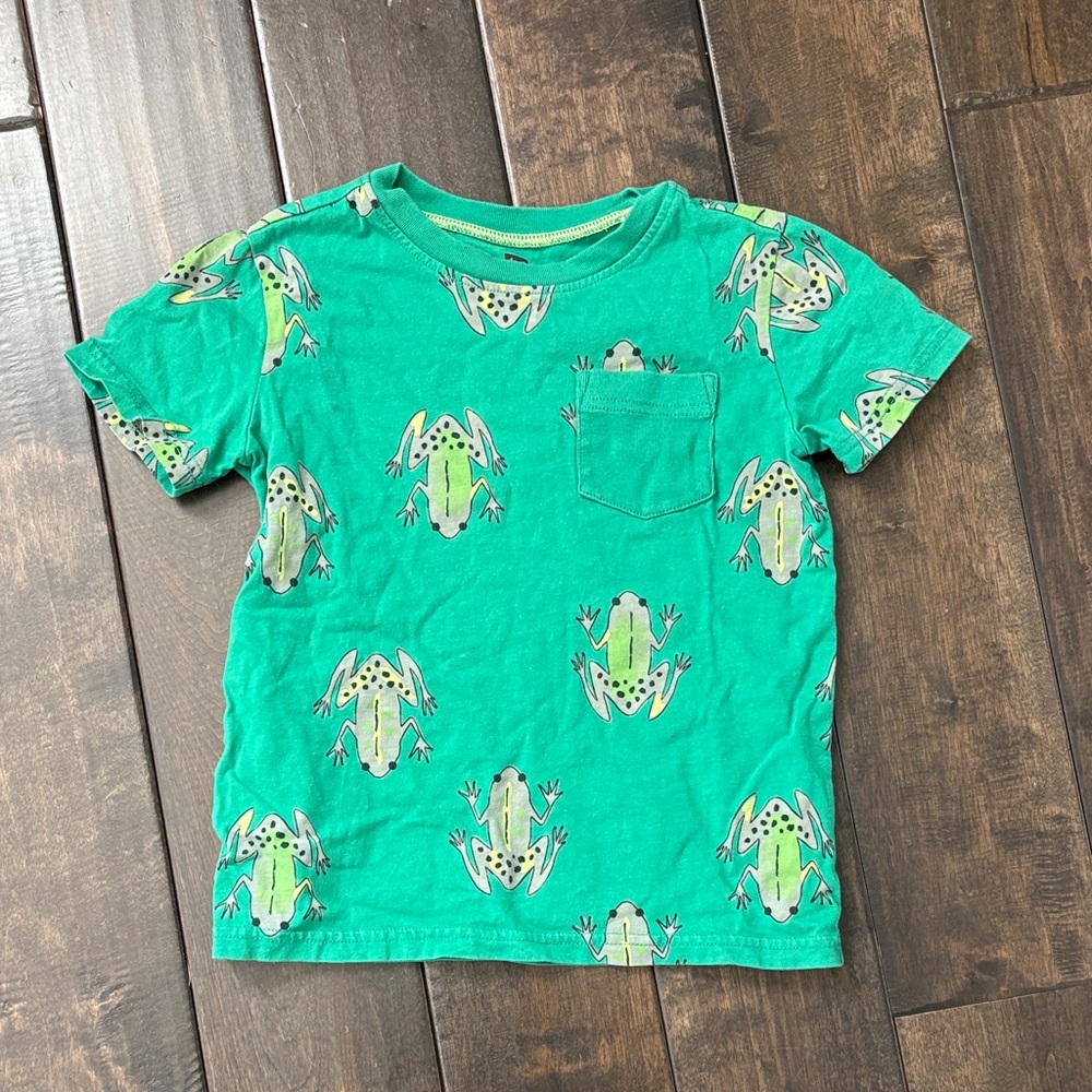 TEA COLLECTION Size 6 Boy Bundle Gray Crewneck, long sleeves, T shirt Dinosaurs - Picture 10 of 11